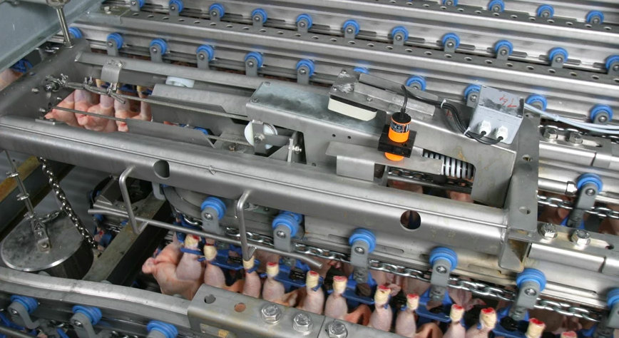 INCREASING DEMANDS ON AIR CHILLING FULLY MET WITH MAREL'S STATE-OF-THE-ART SYSTEMS